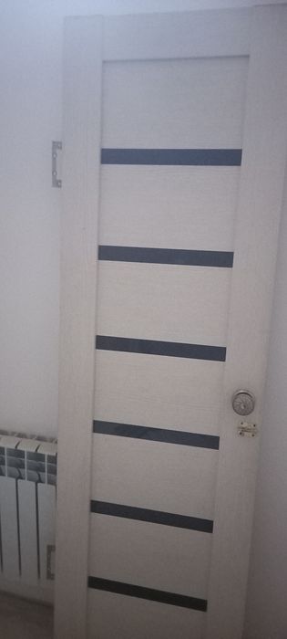 Дверь для туалет и ванны 60см