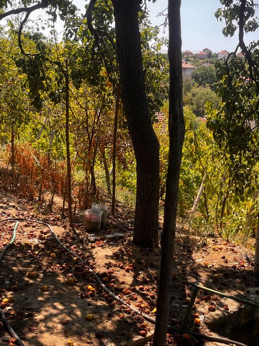 Продава се Къща в Оряхово - 89 кв.м за 201 €/кв.м - Снимка #9