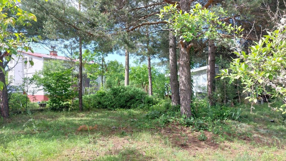 Продава се Къща в с. Егълница, Област Перник - 19 кв.м за 1053 €/кв.м - Снимка #1