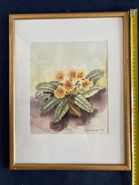 Картина акварел иглики подписана