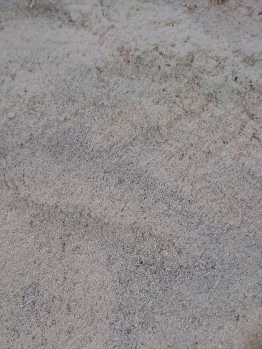 Апилка Бесплатно