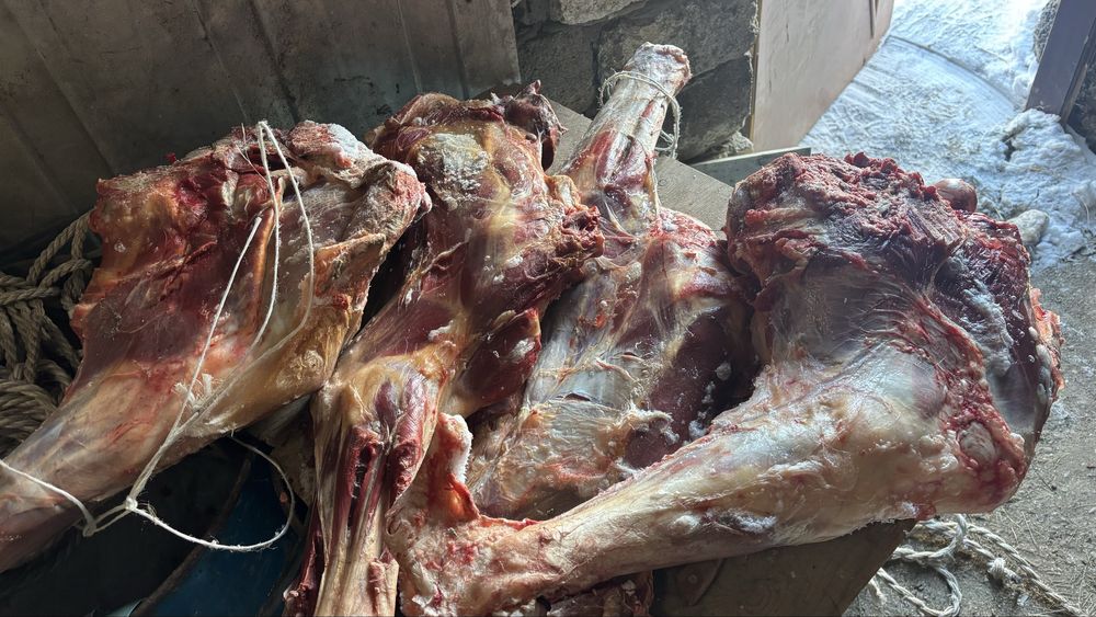 продам мясо для собак