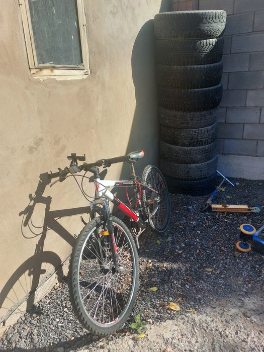 Велосипед на ходу