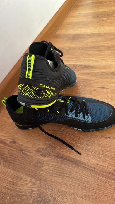 Сороконожки новые