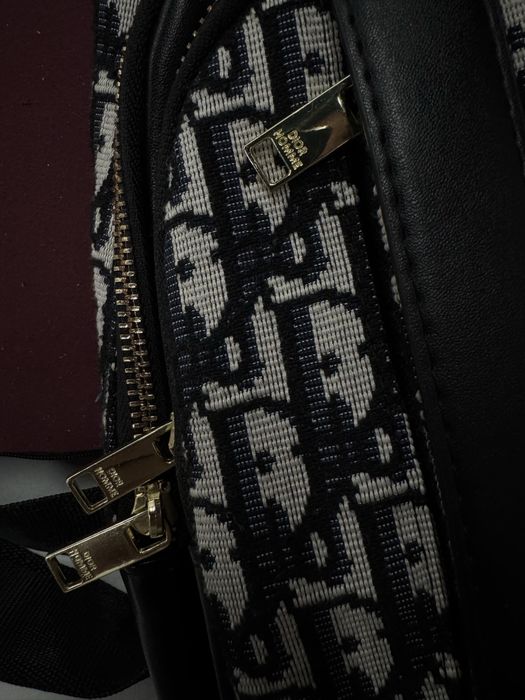 Christian Dior scarab sling / crossbody bag