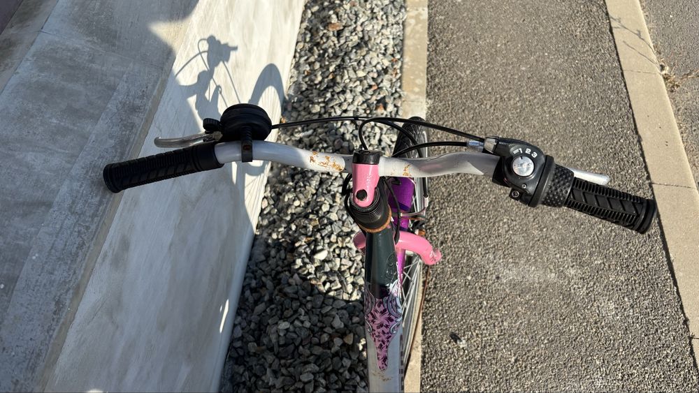 Bicicleta alpina