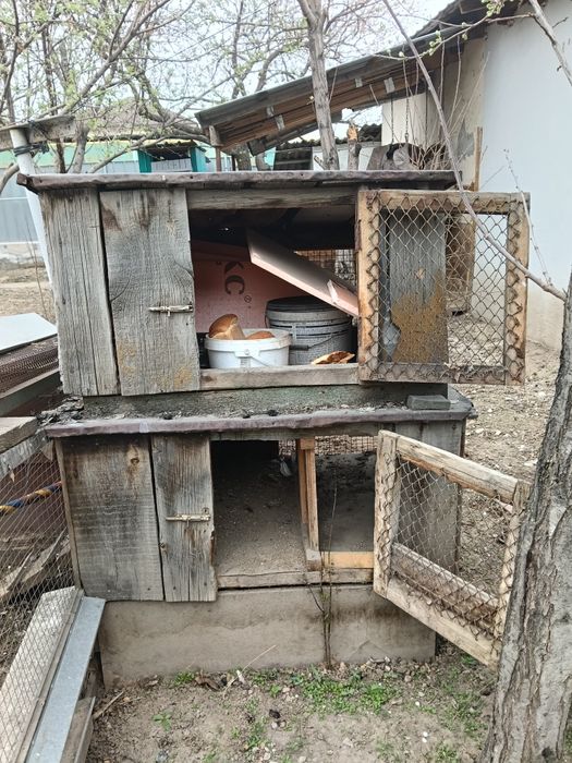 Отдам даром для кроликов.