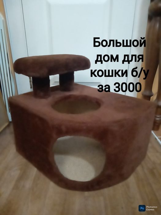 Всё нужное для кошек
