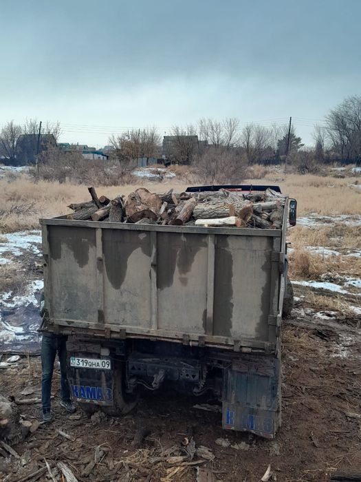 Продам дрова (КАРАГАЧ)