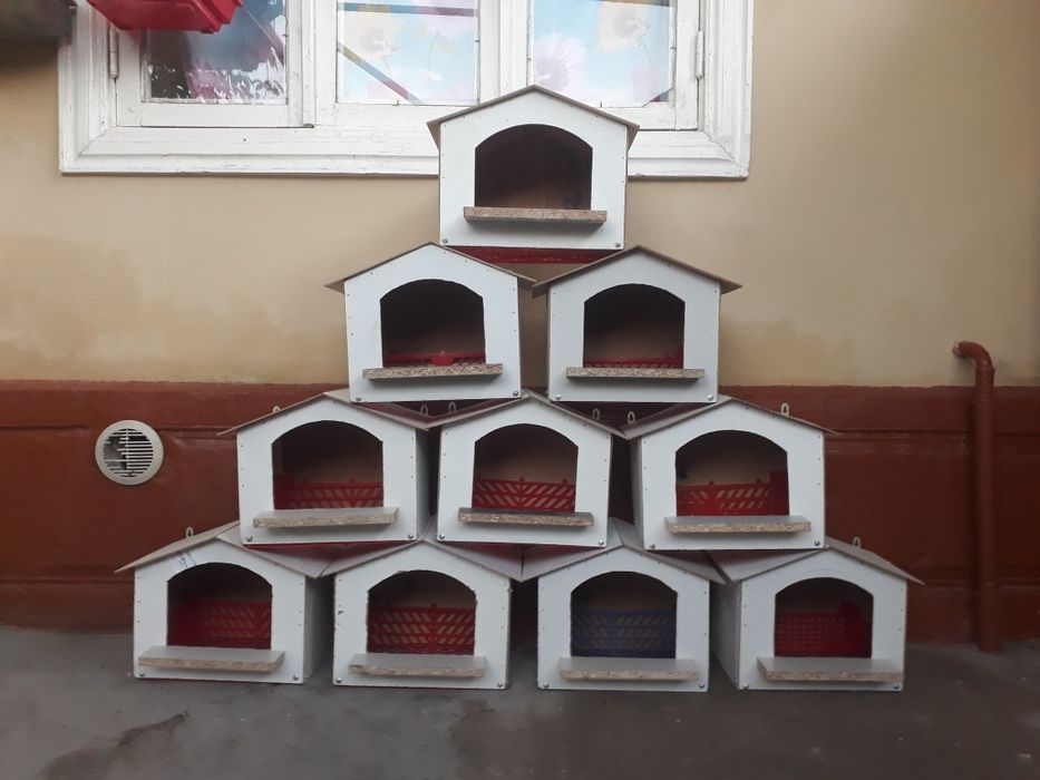 Kaptarlar va yapon tovuqlar uchun gnizdolarimiz bor