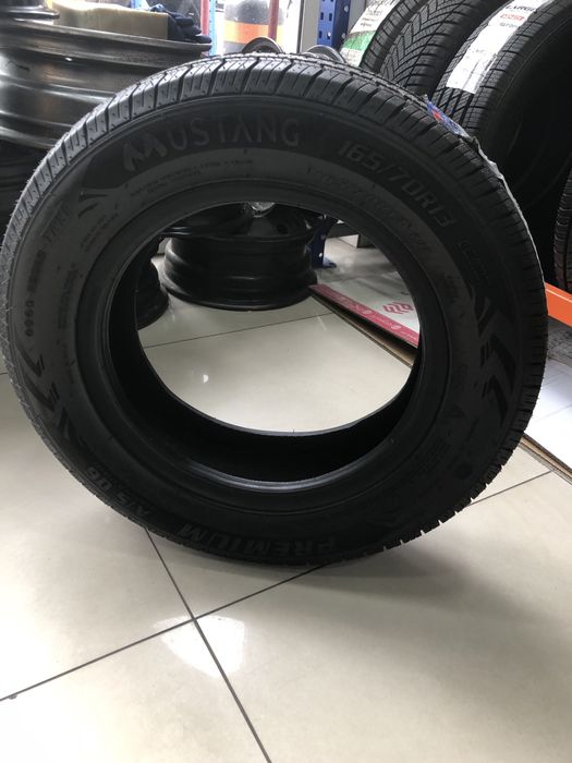 Mustang sifatli shina