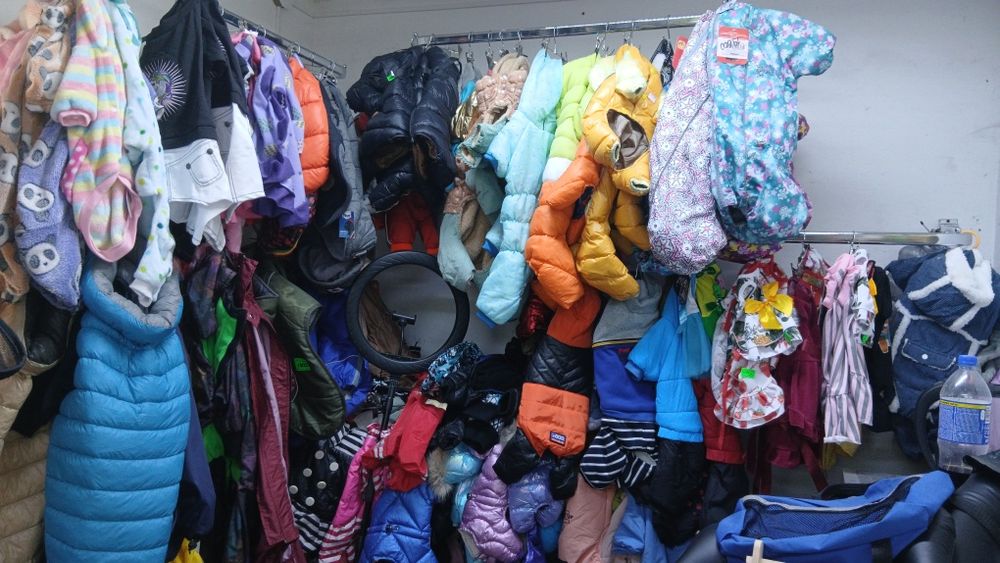 Одежда для животных