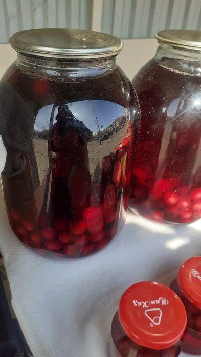 Продам вишневый компот