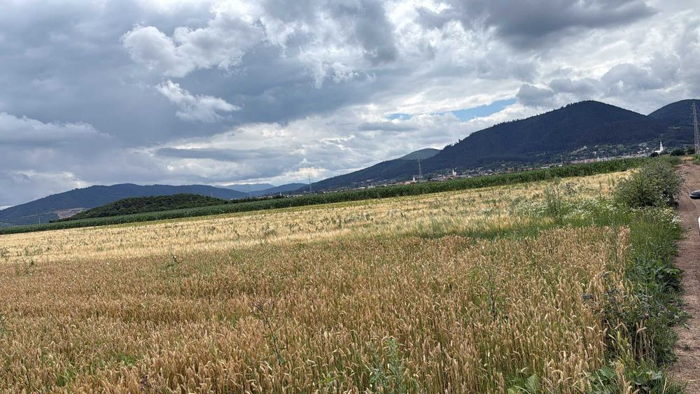 BRASOV,Teren agricol 19.600 mp, 1,96 ha/ Săcele,Front stradal 56 ml,Investiție