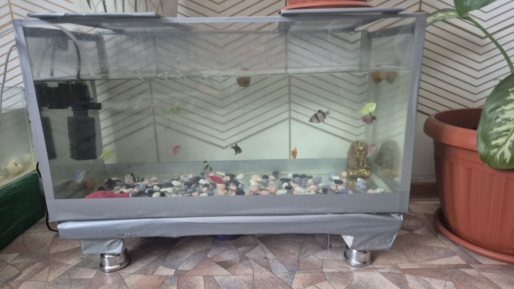 Продается аквариум с рыбами