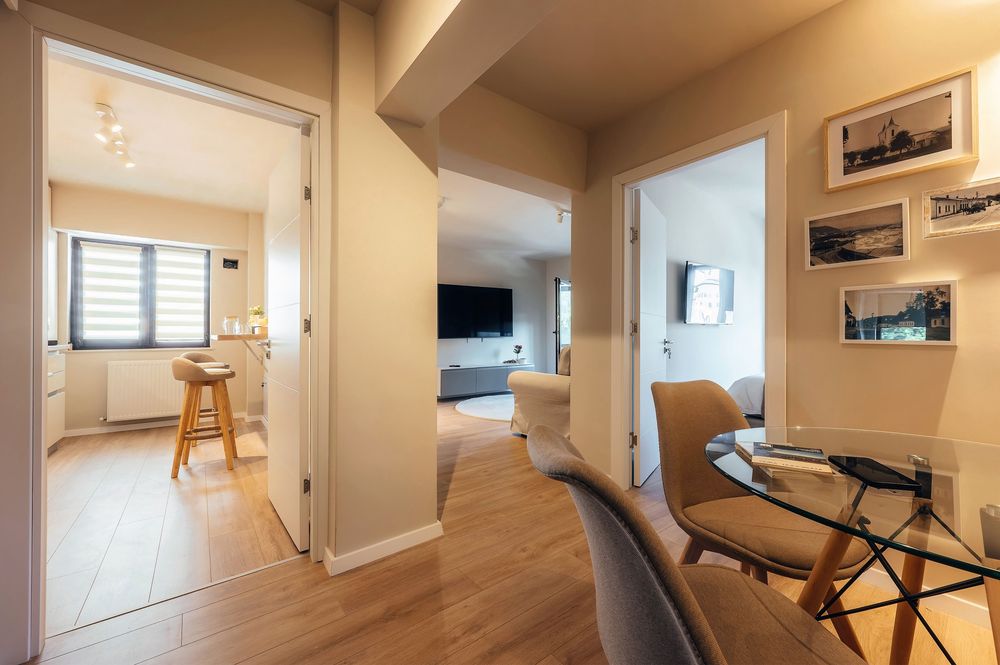 Vand apartament / afacere