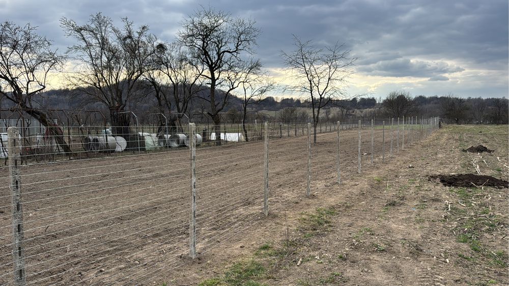 Casă cu  teren 1000 metri pătrați