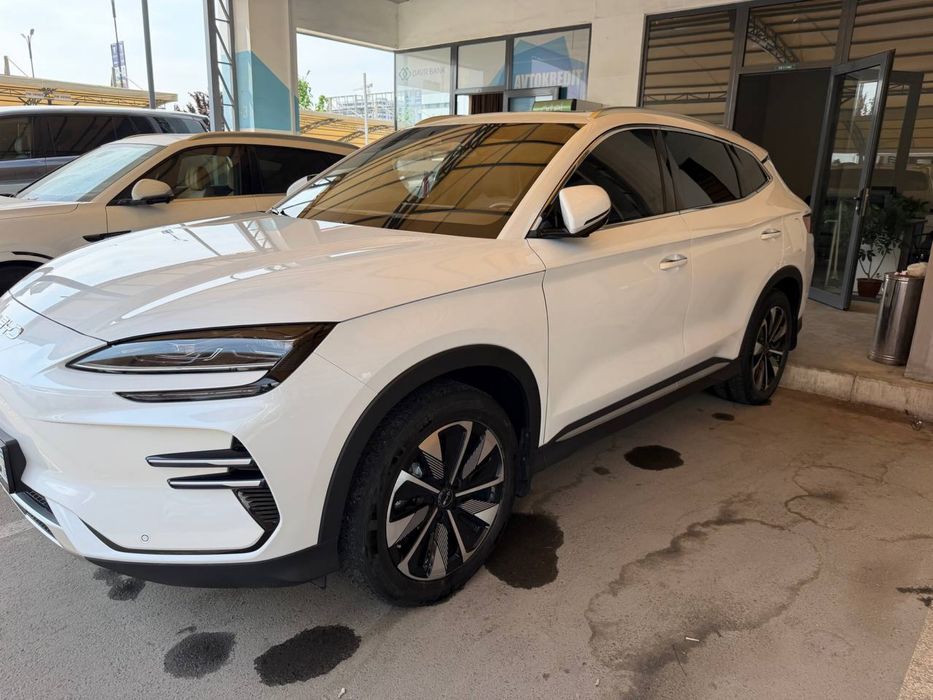 BYD Song Plus EV Champion 2024 — 4