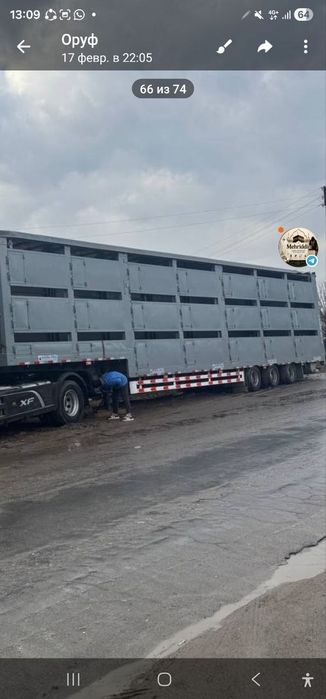 Прицеп  хайвон тошувчи