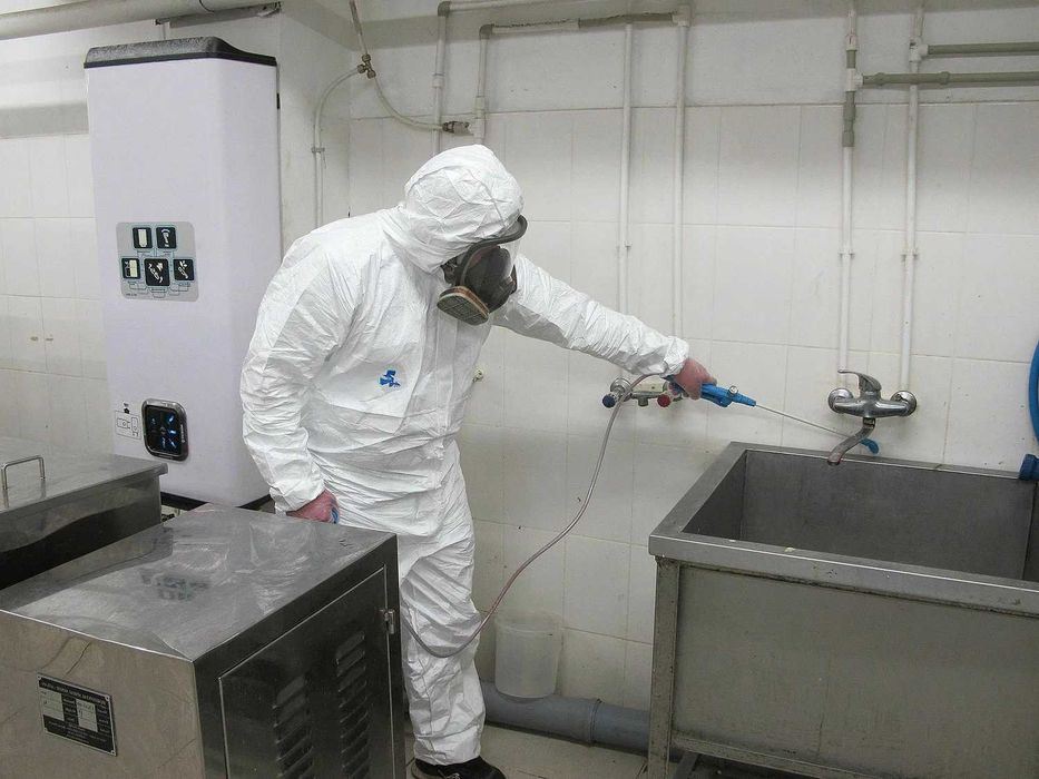 Dezinfeksiya xizmati - tarakan, klop, klapa, burga, ilon, chayon DEZIN