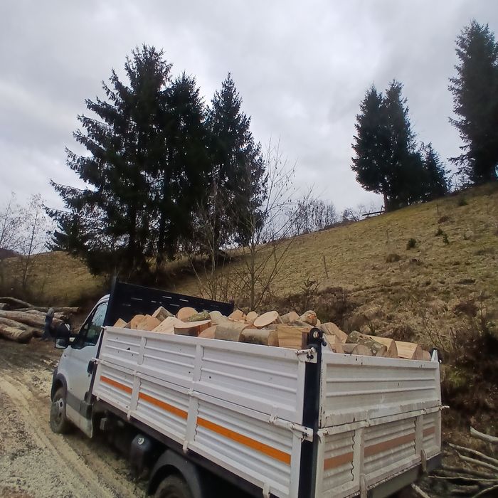Vanzare lemn de foc