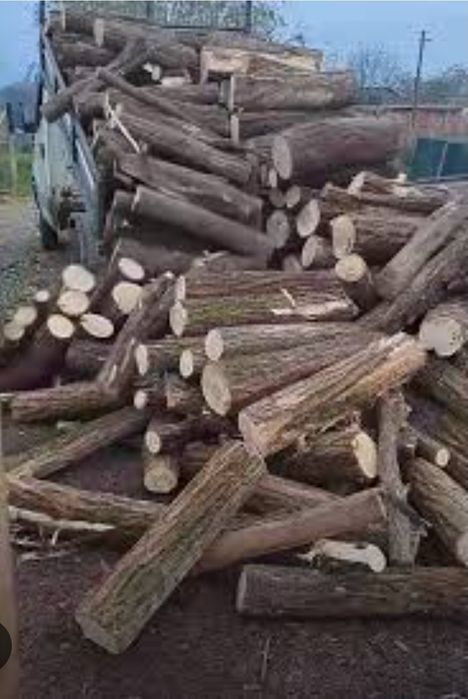 Vand lemn de foc/salcâm