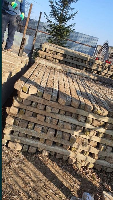 Spalieri de vie de gard din defisari stâlpi