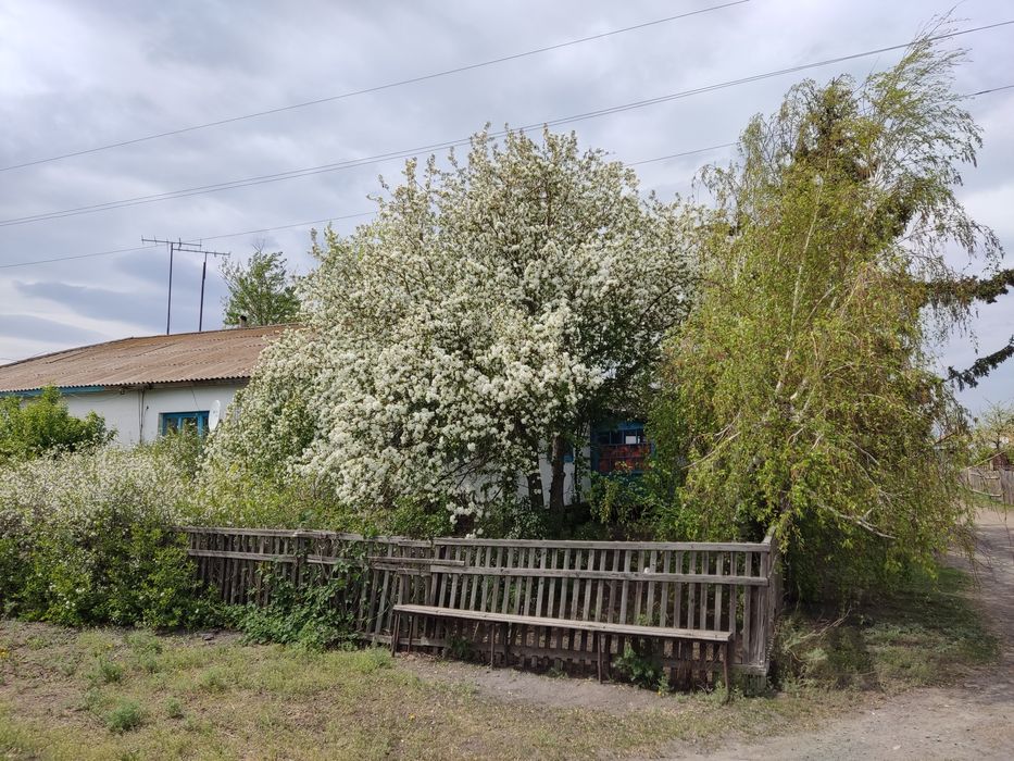 Дом с. Журавлевка