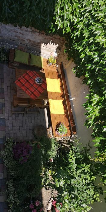 Apartament la casă –ultra central – Oradea

Se oferă spre vânzare apar