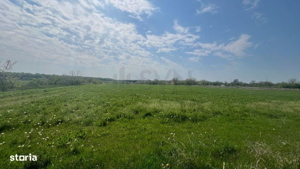 Teren de vanzare in Snagov