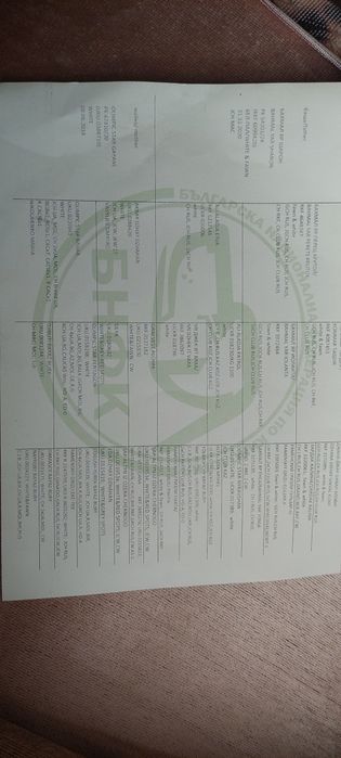 Алабайчета 1 мъжко и 2 женски свободни