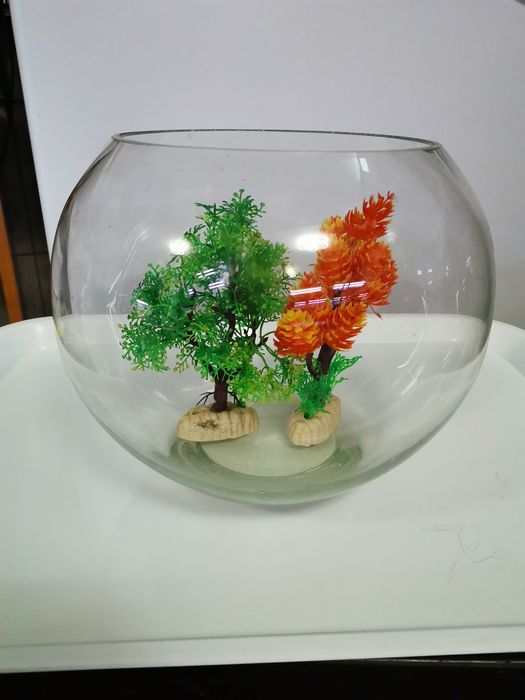 Acvariu bol pentru pești / creveți