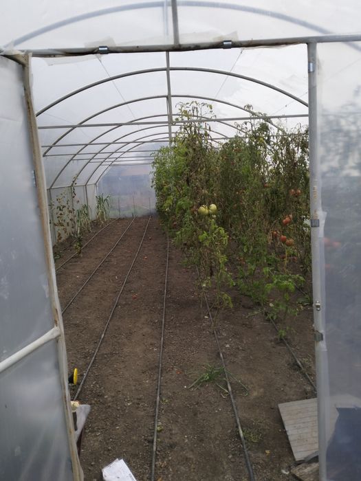 Solare pentru legume