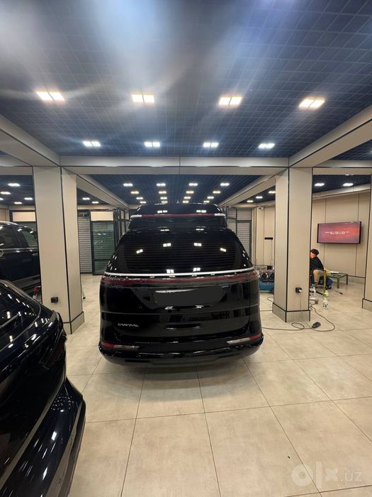 Kia carnival high limousine