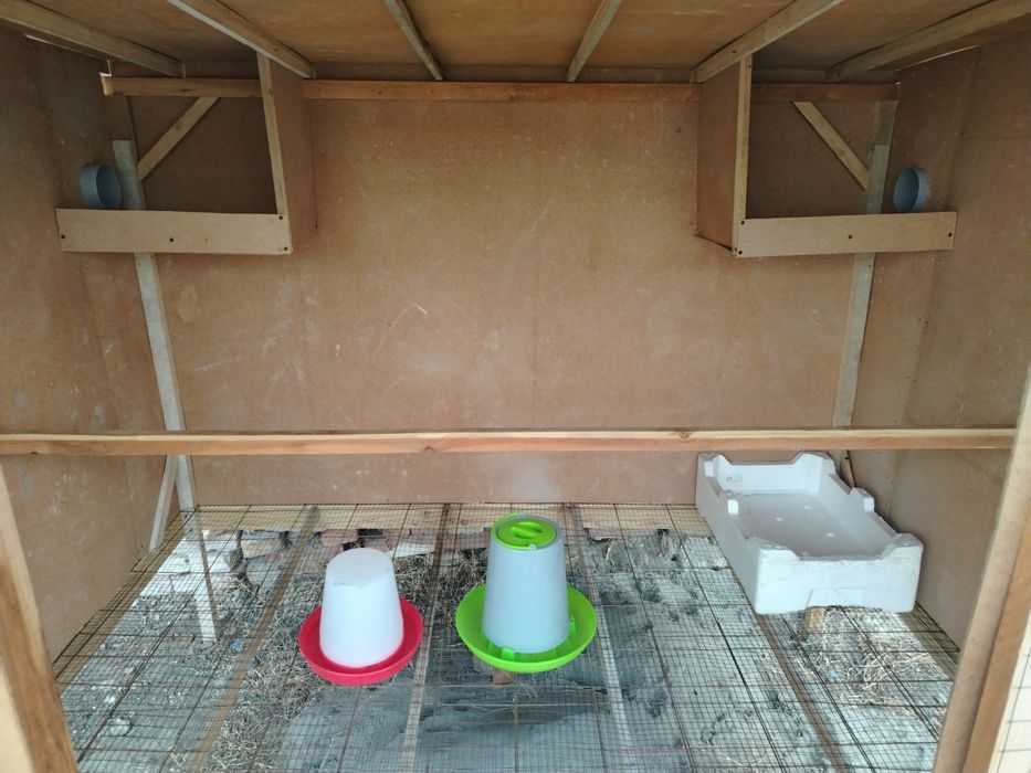 Kakat. Tovuqlar uchun