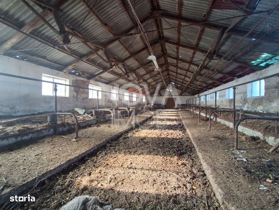 Ferma complet echipata de vanzare – zona Agnita, judetul Sibiu
