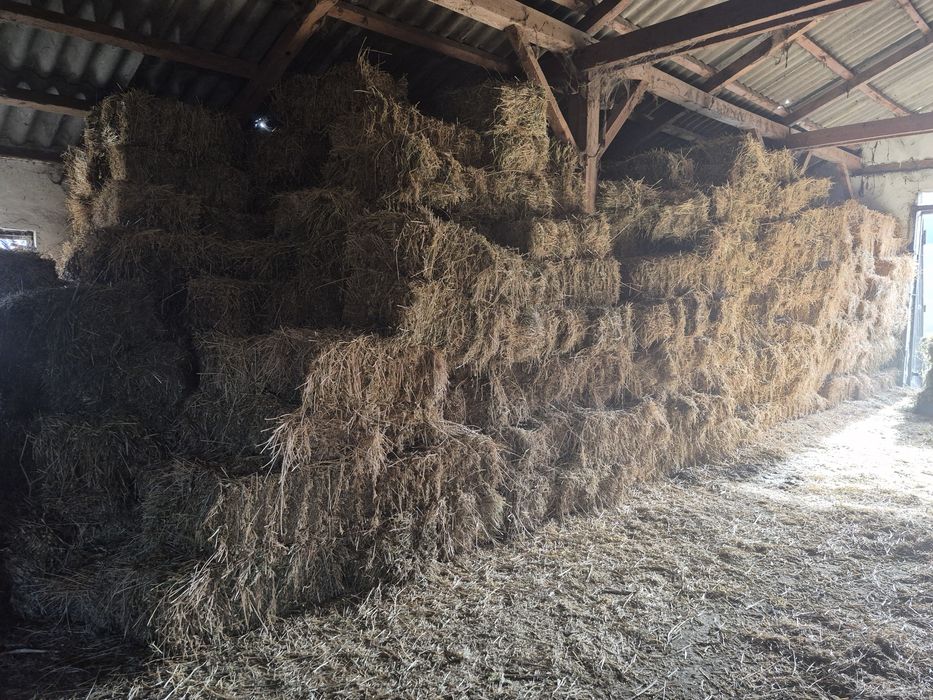 Vând Baloti de Lucerna  fân   Trasport  La Domiciliu