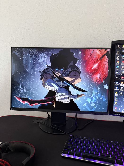Monitor Eizo FlexScan EV2410R