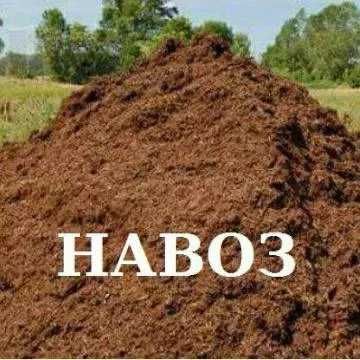 Удобрение навоз коровьий самовывоз с Паркентского района.