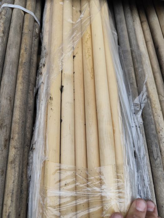 Продам черенок осина, берёза.