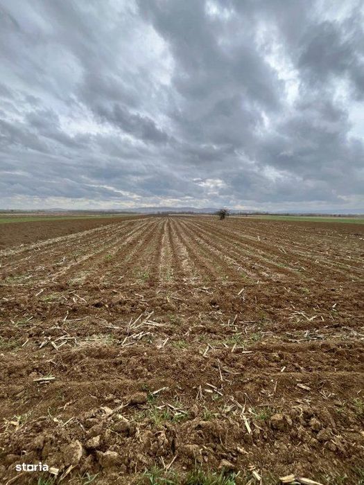 Teren extravilan 2500 mp,cu acces la Centura ,Radauti