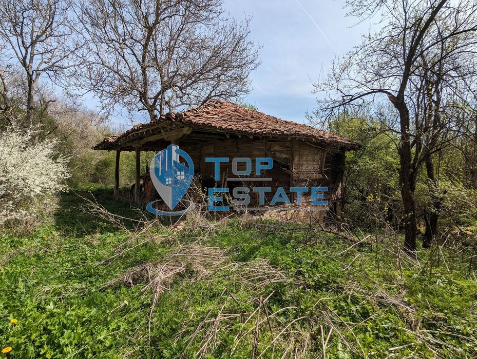 Продава се Парцел в Елена - 1000 кв.м за 12 €/кв.м - Снимка #9