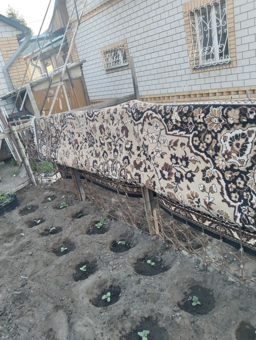 Продам ковёр 3*4метра.