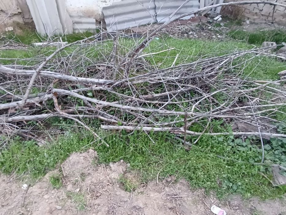 Quruq O'tin sotiladi