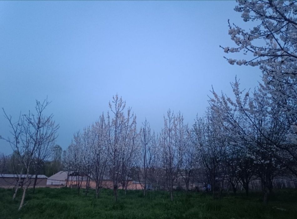 Yer sotiladi 30 sotik