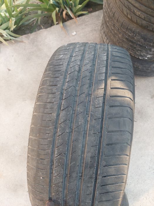 1 dona balon sotladi 19 narhi 50$