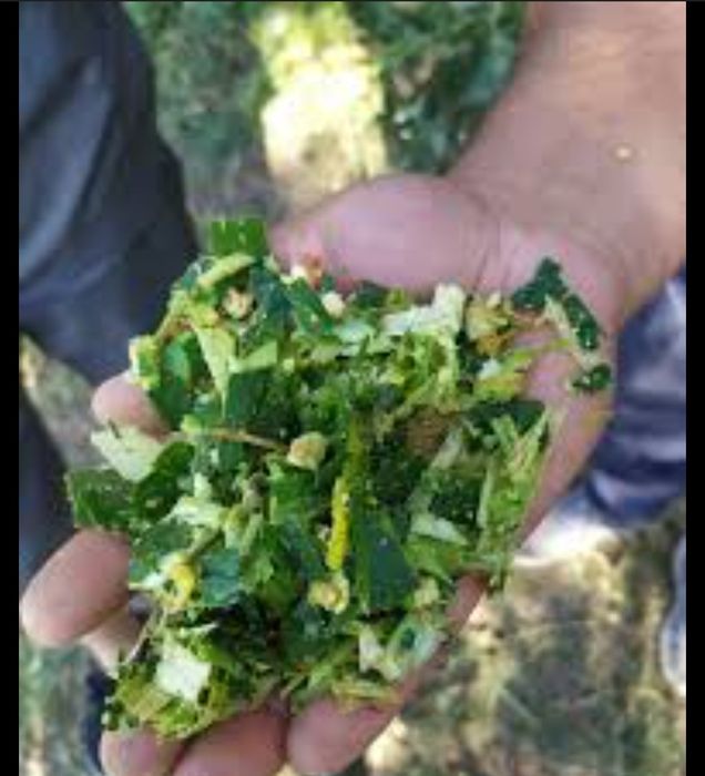 Продам силос не дорого