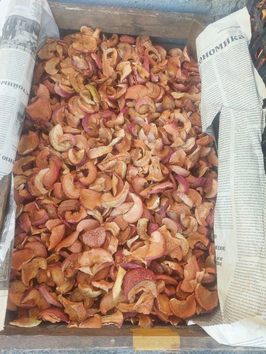 Сухофрукты с яблока Апорт восход