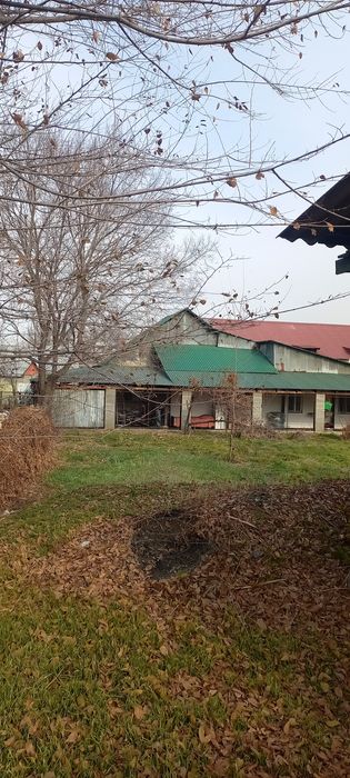 Продам дом с ровным участком