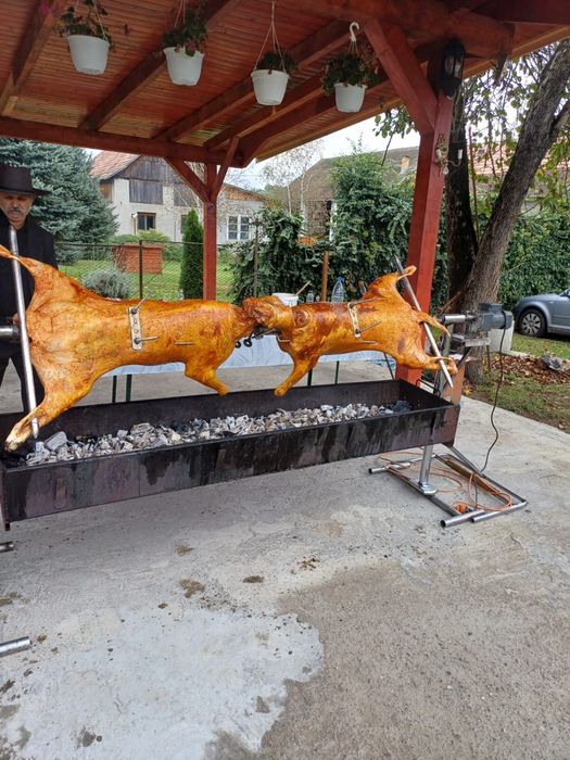 Inchiriez/pregatesc rotisor/protap